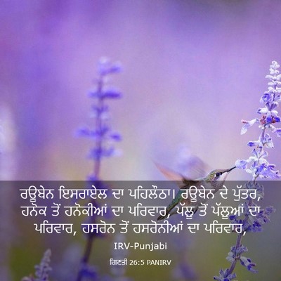 Picture 03 - ਗਿਣਤੀ 26:5 PANIRV - ਰਊਬੇਨ ਇਸਰਾਏਲ ਦਾ - Bible Verse Picture