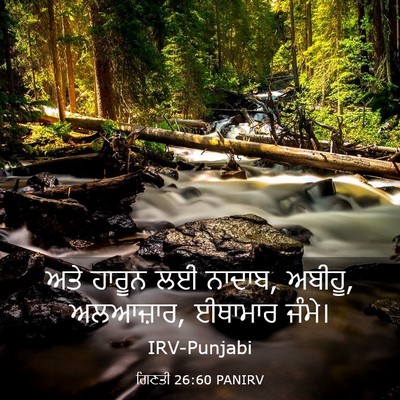 Picture 03 - ਗਿਣਤੀ 26:60 PANIRV - ਅਤੇ ਹਾਰੂਨ ਲਈ ਨਾਦਾਬ, - Bible Verse Picture