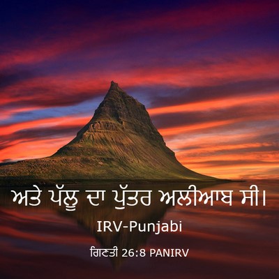 Picture 03 - ਗਿਣਤੀ 26:8 PANIRV - ਅਤੇ ਪੱਲੂ ਦਾ ਪੁੱਤਰ - Bible Verse Picture