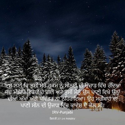 Picture 03 - ਗਿਣਤੀ 27:14 PANIRV - ਇਸ ਲਈ ਕਿ ਤੁਸੀਂ ਮੇਰੇ - Bible Verse Picture