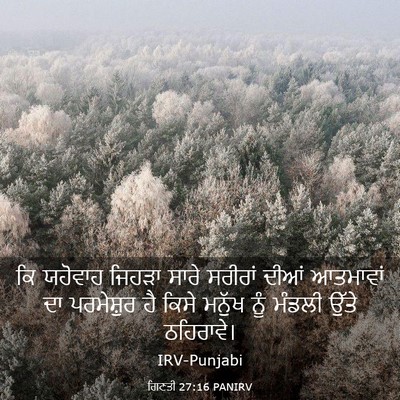 Picture 03 - ਗਿਣਤੀ 27:16 PANIRV - ਕਿ ਯਹੋਵਾਹ ਜਿਹੜਾ - Bible Verse Picture