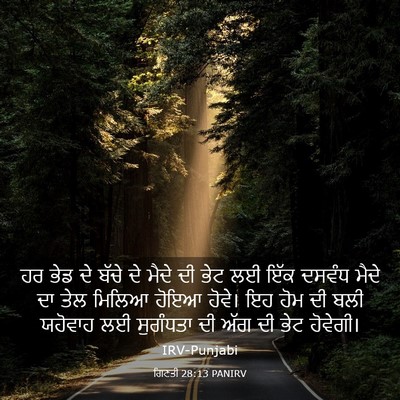 Picture 03 - ਗਿਣਤੀ 28:13 PANIRV - ਹਰ ਭੇਡ ਦੇ ਬੱਚੇ ਦੇ - Bible Verse Picture