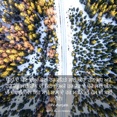 Picture 03 - ਗਿਣਤੀ 28:14 PANIRV - ਉਨ੍ਹਾਂ ਦੇ ਪੀਣ ਦੀਆਂ - Bible Verse Picture