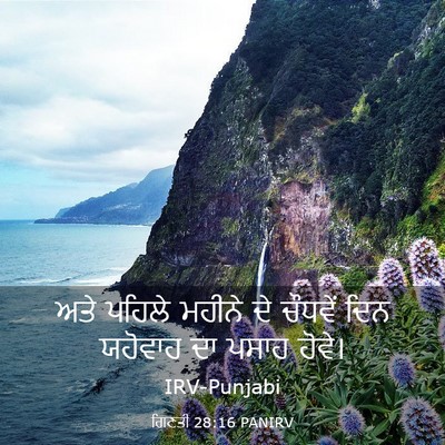 Picture 03 - ਗਿਣਤੀ 28:16 PANIRV - ਅਤੇ ਪਹਿਲੇ ਮਹੀਨੇ ਦੇ - Bible Verse Picture