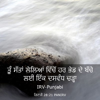 Picture 03 - ਗਿਣਤੀ 28:21 PANIRV - ਤੂੰ ਸੱਤਾਂ ਲੇਲਿਆਂ - Bible Verse Picture