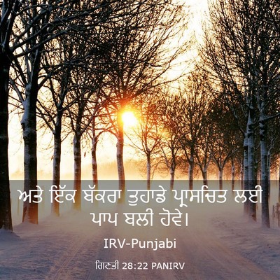 Picture 03 - ਗਿਣਤੀ 28:22 PANIRV - ਅਤੇ ਇੱਕ ਬੱਕਰਾ - Bible Verse Picture