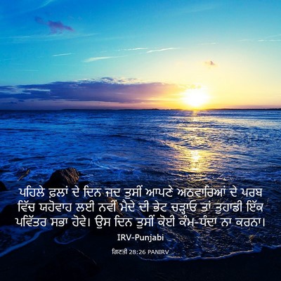Picture 03 - ਗਿਣਤੀ 28:26 PANIRV - ਪਹਿਲੇ ਫ਼ਲਾਂ ਦੇ ਦਿਨ - Bible Verse Picture
