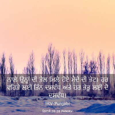 Picture 03 - ਗਿਣਤੀ 28:28 PANIRV - ਨਾਲੇ ਉਨ੍ਹਾਂ ਦੀ ਤੇਲ - Bible Verse Picture