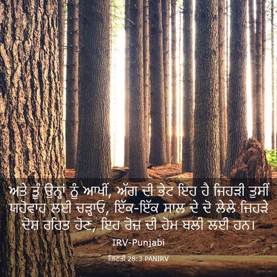 Picture 03 - ਗਿਣਤੀ 28:3 PANIRV - ਅਤੇ ਤੂੰ ਉਨ੍ਹਾਂ ਨੂੰ - Bible Verse Picture