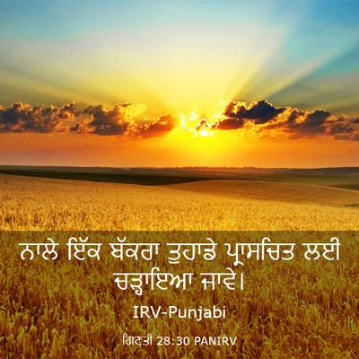 Picture 03 - ਗਿਣਤੀ 28:30 PANIRV - ਨਾਲੇ ਇੱਕ ਬੱਕਰਾ - Bible Verse Picture