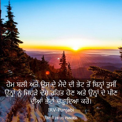 Picture 03 - ਗਿਣਤੀ 28:31 PANIRV - ਹੋਮ ਬਲੀ ਅਤੇ ਉਸ ਦੇ - Bible Verse Picture