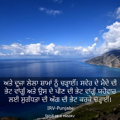 Picture 03 - ਗਿਣਤੀ 28:8 PANIRV - ਅਤੇ ਦੂਜਾ ਲੇਲਾ - Bible Verse Picture