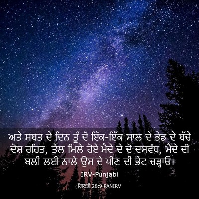 Picture 03 - ਗਿਣਤੀ 28:9 PANIRV - ਅਤੇ ਸਬਤ ਦੇ ਦਿਨ ਤੂੰ - Bible Verse Picture