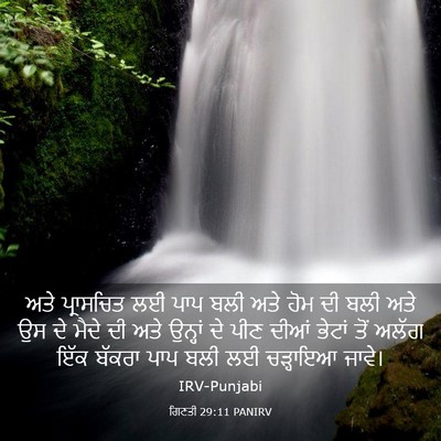 Picture 03 - ਗਿਣਤੀ 29:11 PANIRV - ਅਤੇ ਪ੍ਰਾਸਚਿਤ ਲਈ - Bible Verse Picture