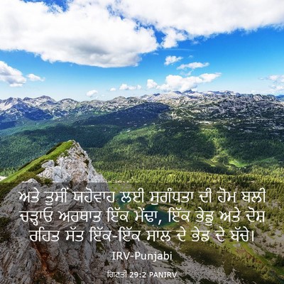 Picture 03 - ਗਿਣਤੀ 29:2 PANIRV - ਅਤੇ ਤੁਸੀਂ ਯਹੋਵਾਹ - Bible Verse Picture