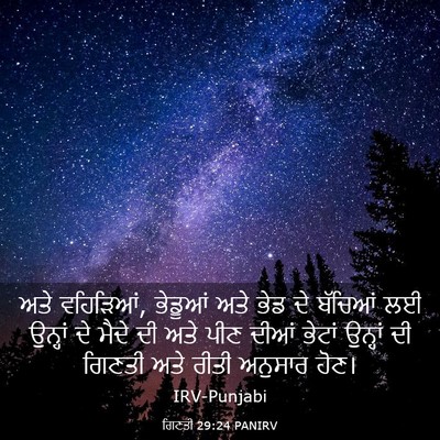 Picture 03 - ਗਿਣਤੀ 29:24 PANIRV - ਅਤੇ ਵਹਿੜਿਆਂ, - Bible Verse Picture