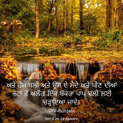 Picture 03 - ਗਿਣਤੀ 29:25 PANIRV - ਅਤੇ ਹੋਮ ਬਲੀ ਅਤੇ ਉਸ - Bible Verse Picture