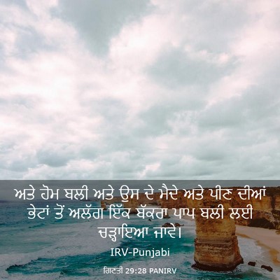 Picture 03 - ਗਿਣਤੀ 29:28 PANIRV - ਅਤੇ ਹੋਮ ਬਲੀ ਅਤੇ ਉਸ - Bible Verse Picture