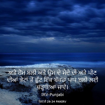 Picture 03 - ਗਿਣਤੀ 29:34 PANIRV - ਅਤੇ ਹੋਮ ਬਲੀ ਅਤੇ ਉਸ - Bible Verse Picture