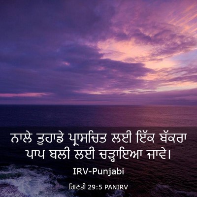 Picture 03 - ਗਿਣਤੀ 29:5 PANIRV - ਨਾਲੇ ਤੁਹਾਡੇ - Bible Verse Picture