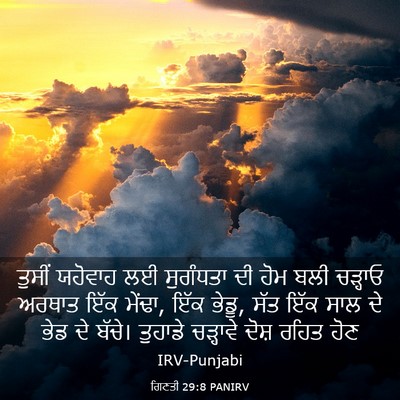 Picture 03 - ਗਿਣਤੀ 29:8 PANIRV - ਤੁਸੀਂ ਯਹੋਵਾਹ ਲਈ - Bible Verse Picture