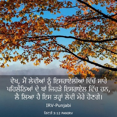 Picture 03 - ਗਿਣਤੀ 3:12 PANIRV - ਵੇਖ, ਮੈਂ ਲੇਵੀਆਂ ਨੂੰ - Bible Verse Picture