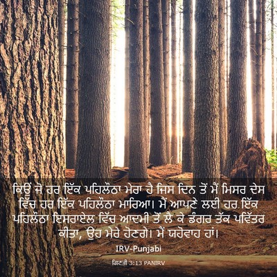 Picture 03 - ਗਿਣਤੀ 3:13 PANIRV - ਕਿਉਂ ਜੋ ਹਰ ਇੱਕ - Bible Verse Picture