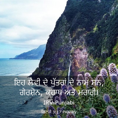 Picture 03 - ਗਿਣਤੀ 3:17 PANIRV - ਇਹ ਲੇਵੀ ਦੇ ਪੁੱਤਰਾਂ - Bible Verse Picture