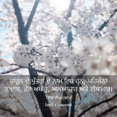 Picture 03 - ਗਿਣਤੀ 3:2 PANIRV - ਹਾਰੂਨ ਦੇ ਪੁੱਤਰਾਂ - Bible Verse Picture