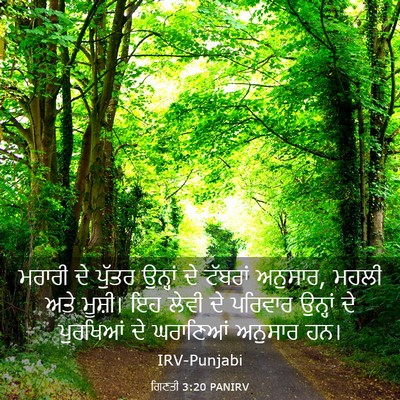 Picture 03 - ਗਿਣਤੀ 3:20 PANIRV - ਮਰਾਰੀ ਦੇ ਪੁੱਤਰ - Bible Verse Picture
