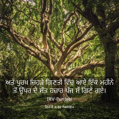 Picture 03 - ਗਿਣਤੀ 3:22 PANIRV - ਅਤੇ ਪੁਰਖ ਜਿਹੜੇ - Bible Verse Picture