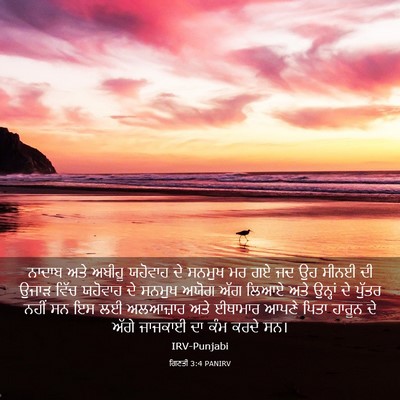 Picture 03 - ਗਿਣਤੀ 3:4 PANIRV - ਨਾਦਾਬ ਅਤੇ ਅਬੀਹੂ - Bible Verse Picture