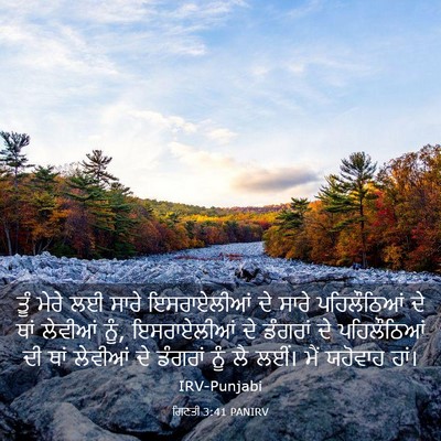 Picture 03 - ਗਿਣਤੀ 3:41 PANIRV - ਤੂੰ ਮੇਰੇ ਲਈ ਸਾਰੇ - Bible Verse Picture