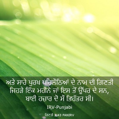 Picture 03 - ਗਿਣਤੀ 3:43 PANIRV - ਅਤੇ ਸਾਰੇ ਪੁਰਖ - Bible Verse Picture