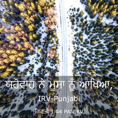 Picture 03 - ਗਿਣਤੀ 3:44 PANIRV - ਯਹੋਵਾਹ ਨੇ ਮੂਸਾ ਨੂੰ - Bible Verse Picture