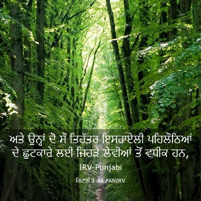 Picture 03 - ਗਿਣਤੀ 3:46 PANIRV - ਅਤੇ ਉਨ੍ਹਾਂ ਦੋ ਸੌ - Bible Verse Picture