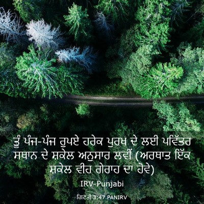 Picture 03 - ਗਿਣਤੀ 3:47 PANIRV - ਤੂੰ ਪੰਜ-ਪੰਜ ਰੁਪਏ - Bible Verse Picture