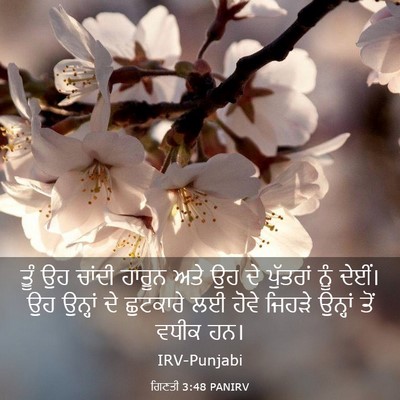 Picture 03 - ਗਿਣਤੀ 3:48 PANIRV - ਤੂੰ ਉਹ ਚਾਂਦੀ ਹਾਰੂਨ - Bible Verse Picture