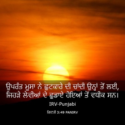 Picture 03 - ਗਿਣਤੀ 3:49 PANIRV - ਉਪਰੰਤ ਮੂਸਾ ਨੇ - Bible Verse Picture