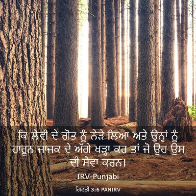 Picture 03 - ਗਿਣਤੀ 3:6 PANIRV - ਕਿ ਲੇਵੀ ਦੇ ਗੋਤ ਨੂੰ - Bible Verse Picture