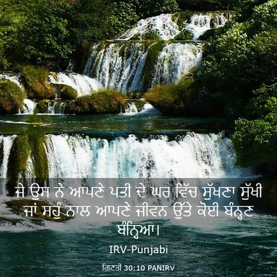 Picture 03 - ਗਿਣਤੀ 30:10 PANIRV - ਜੇ ਉਸ ਨੇ ਆਪਣੇ ਪਤੀ - Bible Verse Picture
