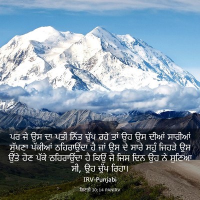 Picture 03 - ਗਿਣਤੀ 30:14 PANIRV - ਪਰ ਜੇ ਉਸ ਦਾ ਪਤੀ - Bible Verse Picture