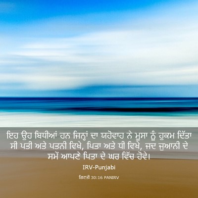 Picture 03 - ਗਿਣਤੀ 30:16 PANIRV - ਇਹ ਉਹ ਬਿਧੀਆਂ ਹਨ - Bible Verse Picture