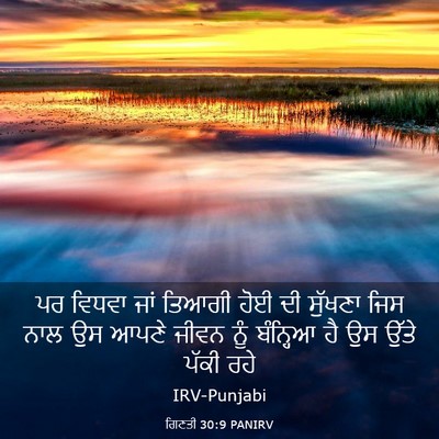 Picture 03 - ਗਿਣਤੀ 30:9 PANIRV - ਪਰ ਵਿਧਵਾ ਜਾਂ ਤਿਆਗੀ - Bible Verse Picture
