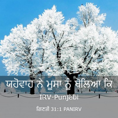 Picture 03 - ਗਿਣਤੀ 31:1 PANIRV - ਯਹੋਵਾਹ ਨੇ ਮੂਸਾ ਨੂੰ - Bible Verse Picture