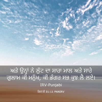 Picture 03 - ਗਿਣਤੀ 31:11 PANIRV - ਅਤੇ ਉਨ੍ਹਾਂ ਨੇ ਲੁੱਟ - Bible Verse Picture