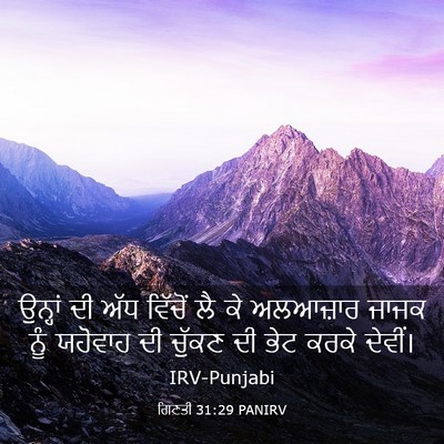 Picture 03 - ਗਿਣਤੀ 31:29 PANIRV - ਉਨ੍ਹਾਂ ਦੀ ਅੱਧ - Bible Verse Picture