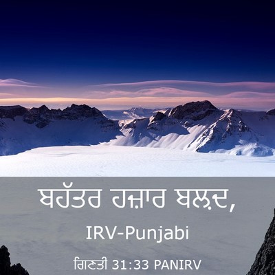Picture 03 - ਗਿਣਤੀ 31:33 PANIRV - ਬਹੱਤਰ ਹਜ਼ਾਰ - Bible Verse Picture