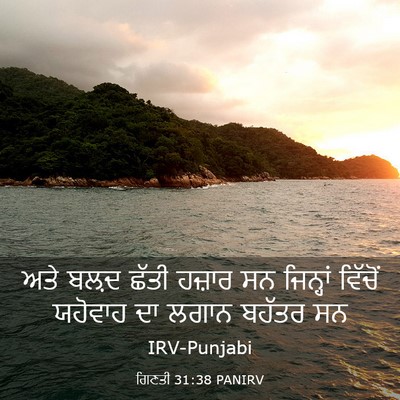 Picture 03 - ਗਿਣਤੀ 31:38 PANIRV - ਅਤੇ ਬਲ਼ਦ ਛੱਤੀ - Bible Verse Picture