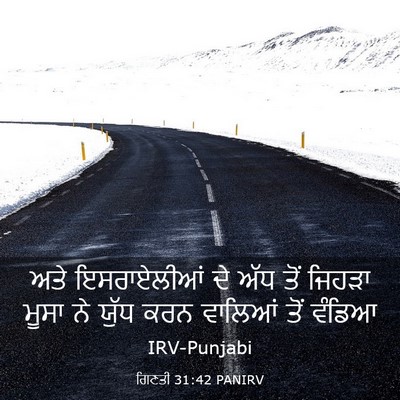 Picture 03 - ਗਿਣਤੀ 31:42 PANIRV - ਅਤੇ ਇਸਰਾਏਲੀਆਂ ਦੇ - Bible Verse Picture